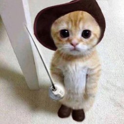 bigbause's tweet photo. @playlostark It’s me again, its been 4 hours, its getting hard to keep my sword up. please. just let me in https://t.co/EGM24bqVA4