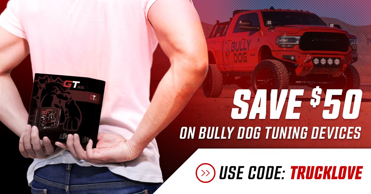 Bully Dog tweet media