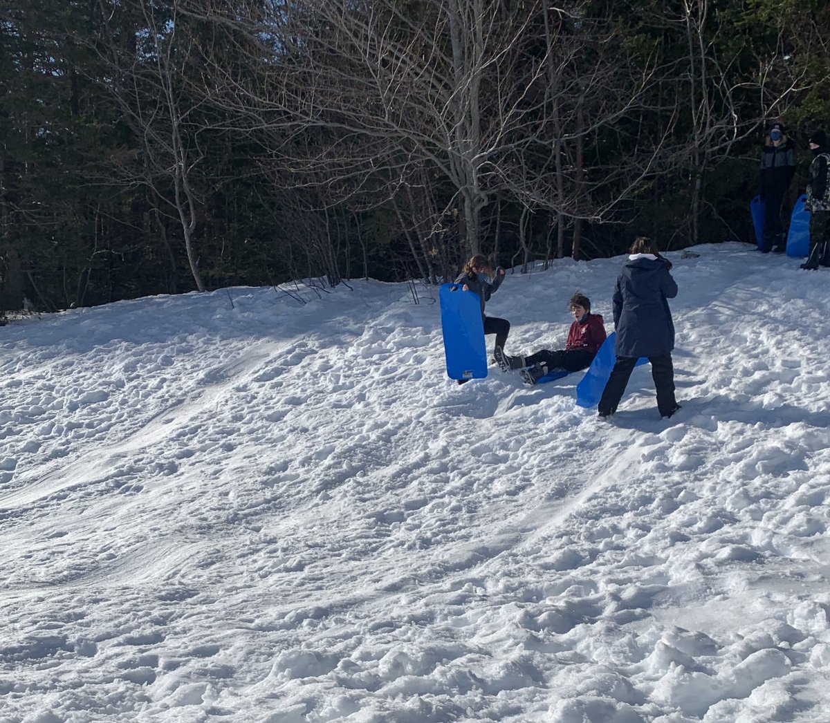 Sandra Skeffington (she/her) tweet media