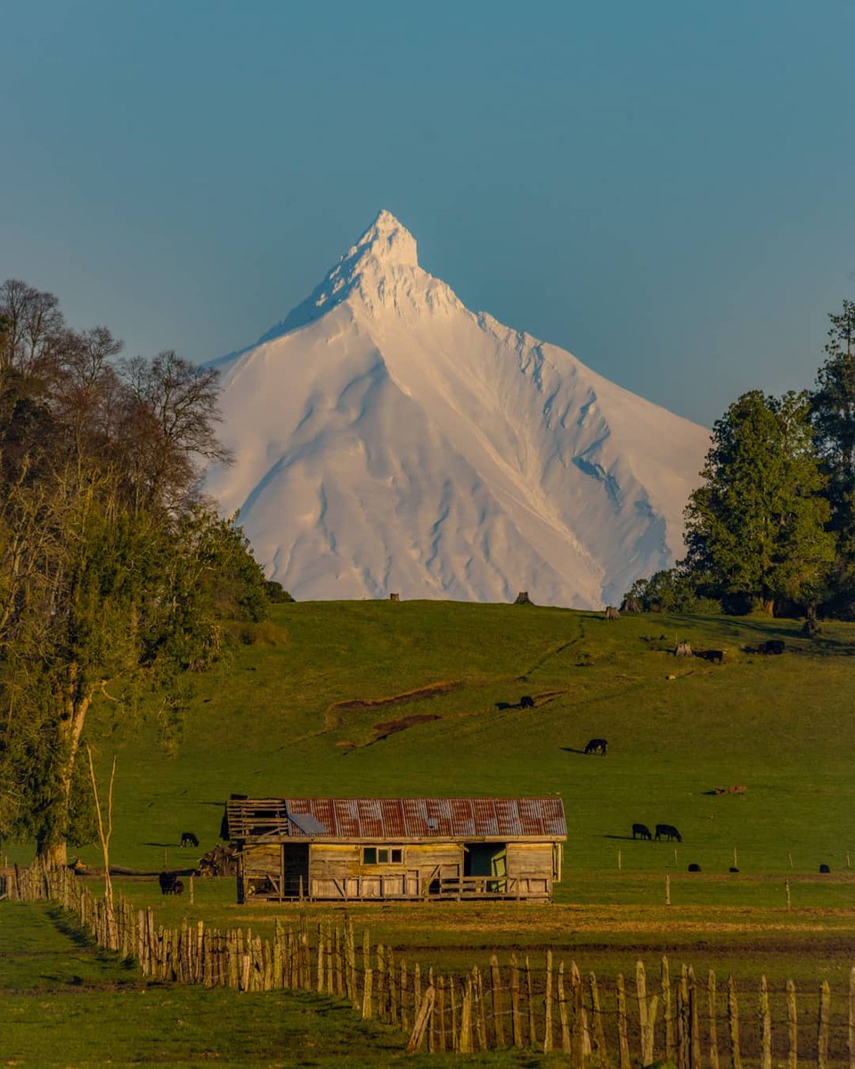 ¡De lo más lindo que veras hoy! 🙌😊
PUYEHUE altivo, paloma azul, cisne cautivo, te llevo en mi corazón como luminoso cirio...
Y cuando al fin cierre mis ojos y mi corazón entregue sus últimos latidos, te recordaré PUYEHUE MIO y no te irás al olvido! 😍🇨🇱

Foto @schilling_foto