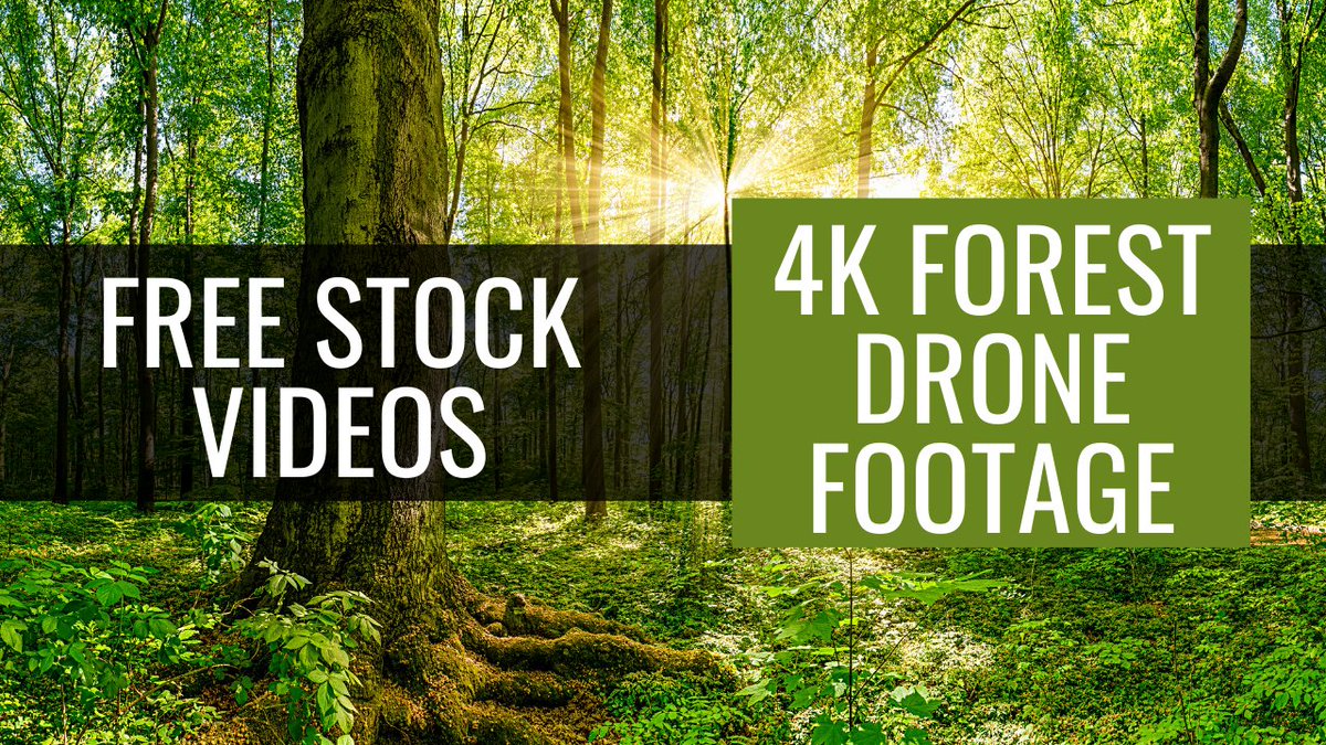 HDStockVideos's tweet photo. Top Free Stock Videos - 4K Forest Drone Footage - Free to Use https://t.co/w644HGz0Wv #freestockvideos https://t.co/FFcGY9CuUI