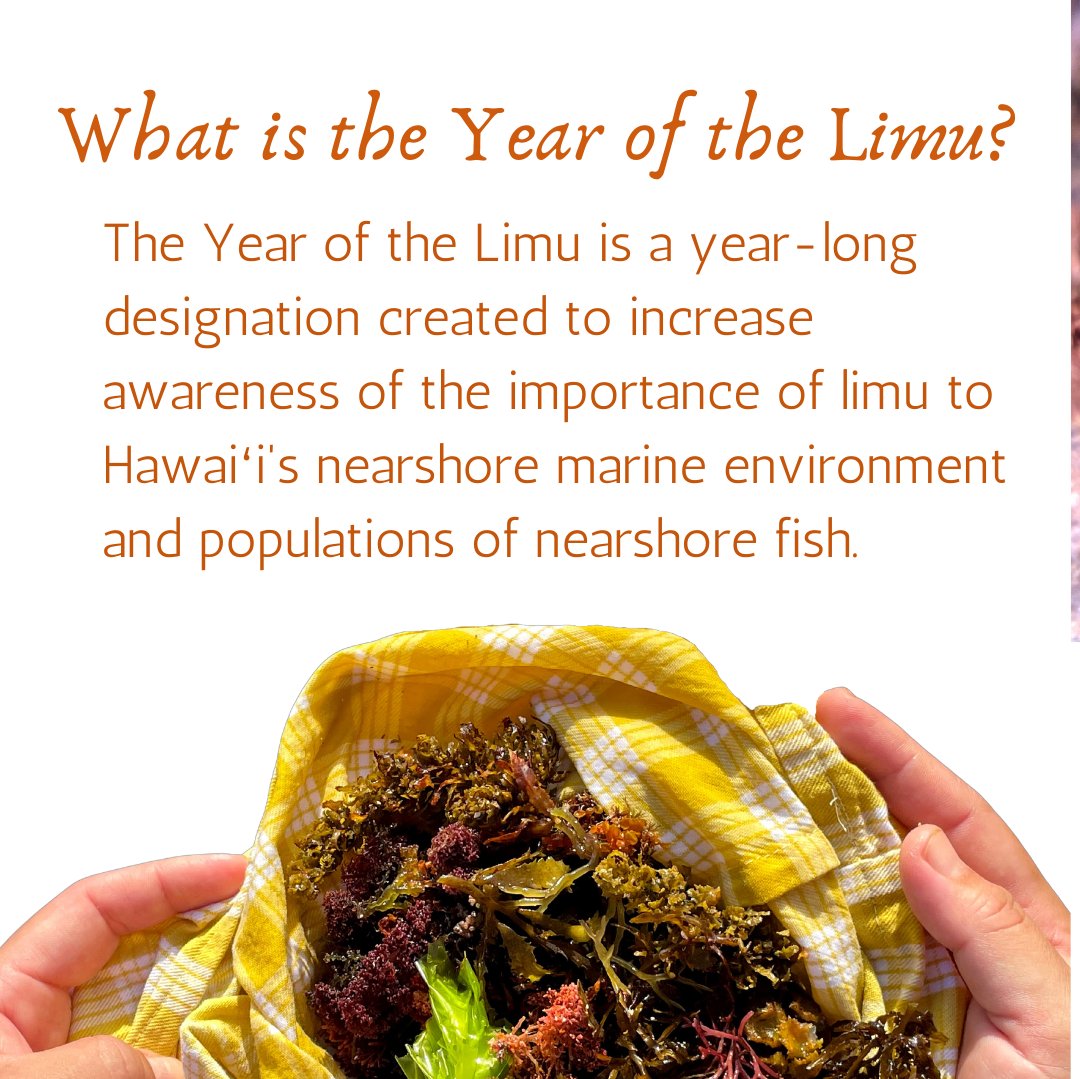 Hawai'i Conservation Alliance & Foundation tweet media