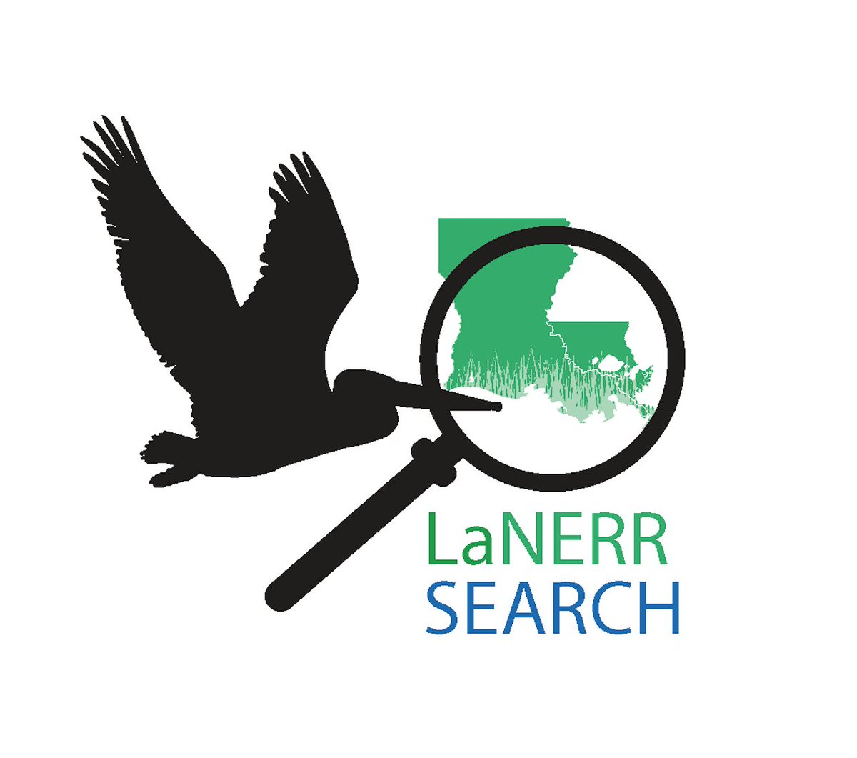 Search for Louisiana NERR tweet media