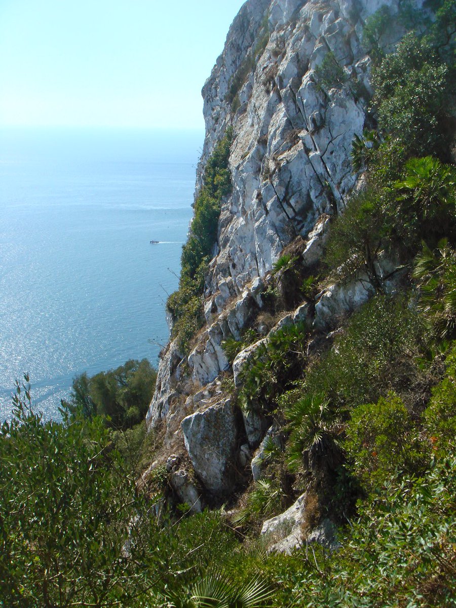 Photo taken halfway down #medsteps on #Gibraltar