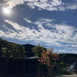 四万十の宿のツイート画像