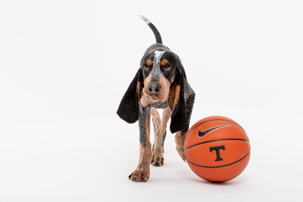 Vol_Hoops's tweet photo. this is some big floppin news.

welcome aboard, XI! https://t.co/Ny4dImSG0R