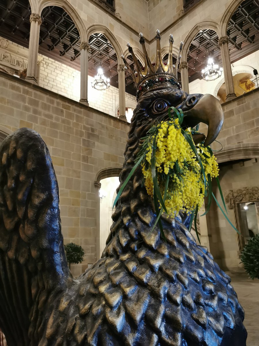 helmartorell's tweet photo. Que comenci #SantaEulàlia!

🙌🙌🙌🙌🙌 https://t.co/3AOgj6WcA3