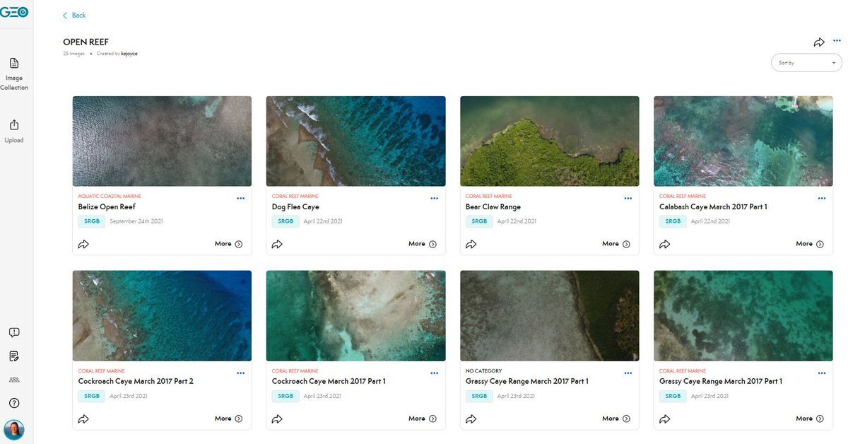 GeoNadirAu's tweet photo. If you like curated content like playlists on YouTube or Spotify, then #GeoNadir Showcases are for you! Save any number of image collections of your choice into a showcase to check out later or share with colleagues - like this from #OpenReef 

https://t.co/Ea6LRGxhzy https://t.co/wJ8LaOvn06
