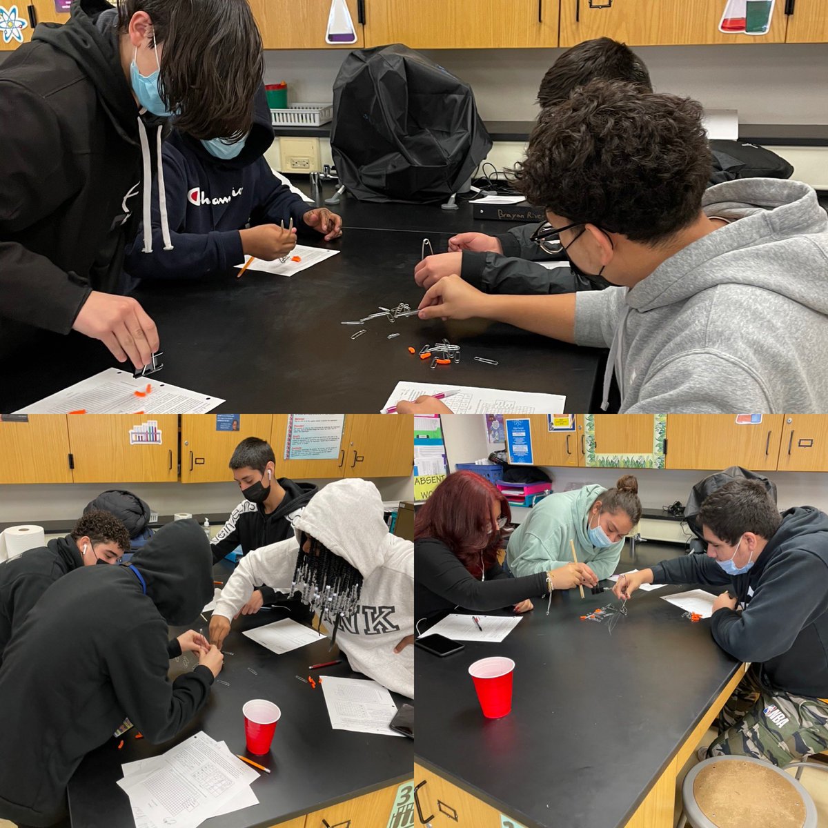 Very serious competition for resources as biology students battle using tools to simulate different beak shapes! 🐤🐦