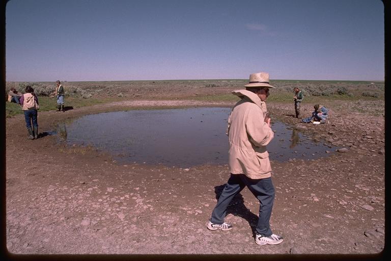goforth_science's tweet photo. Me: "What is your favorite wetland?" Tom Hruby: "Oh I can't say that! If I'm standing there it's my favorite wetland."

This month, join me and my dad, a wetland scientist, as we explore wetlands from all over the world: https://t.co/MqjkddXGE2. #wetlands #science #scicomm https://t.co/tt9VOl3M5G