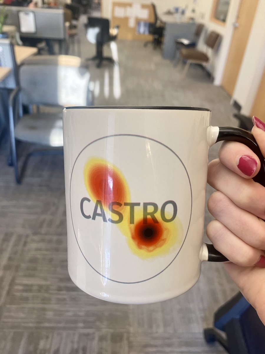 Kaley Brauer 💫 tweet media