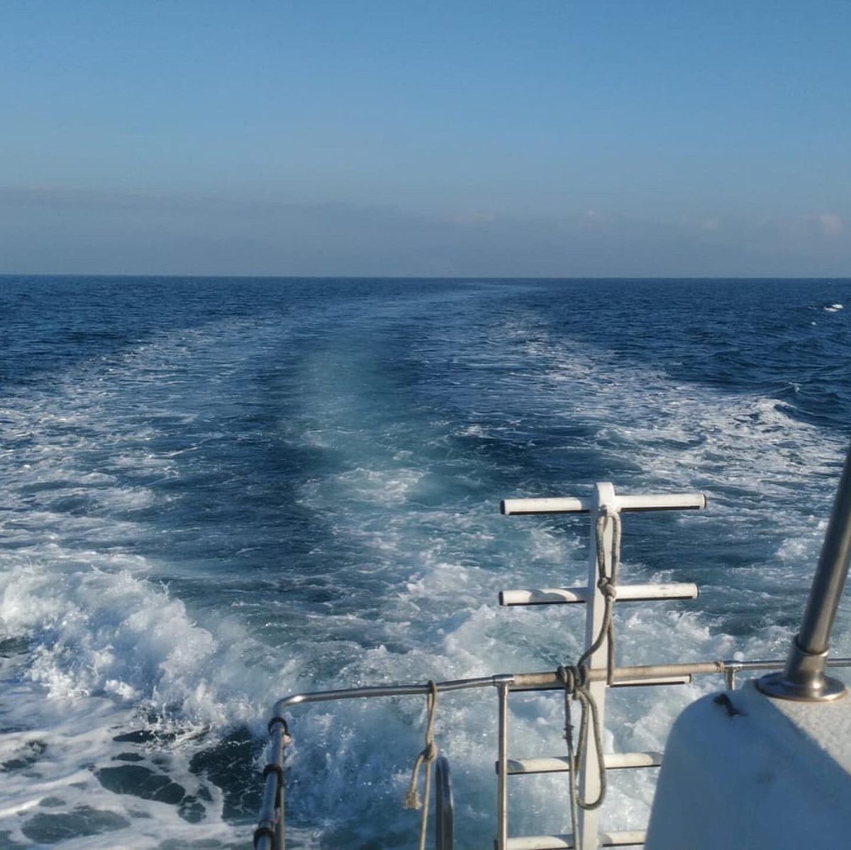 @aton.sd tweet media