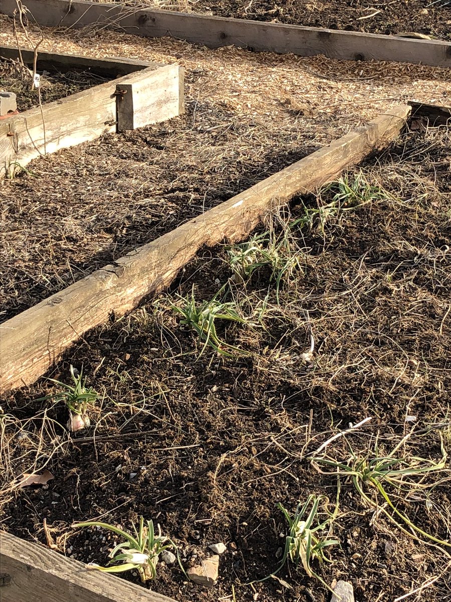 Daniel George tweet media