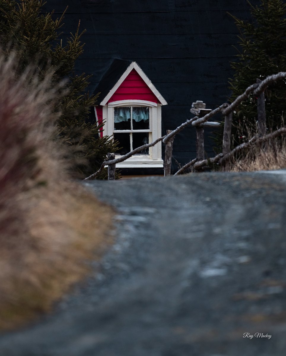 RayMackeyNL's tweet photo. Tors Cove, Newfoundland. #Torscove #cribbies #window #ontheroad #eastcoasttrail #theredhouse Happy Friday everyone! https://t.co/TwAc9rZG8b