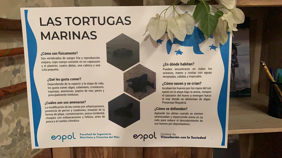 fimcmespol's tweet photo. El día de ayer se realizó la rendición de cuentas y cierre del proyecto de vinculación a cargo de la MSc. Gina Andrade, docente de #Oceanografía, "Construyendo Resiliencia en Manglaralto 2021". 1/4 https://t.co/ZBqGTKSsaq