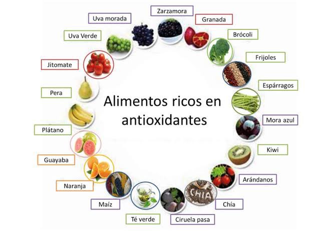 Alimentos antiandrogenos