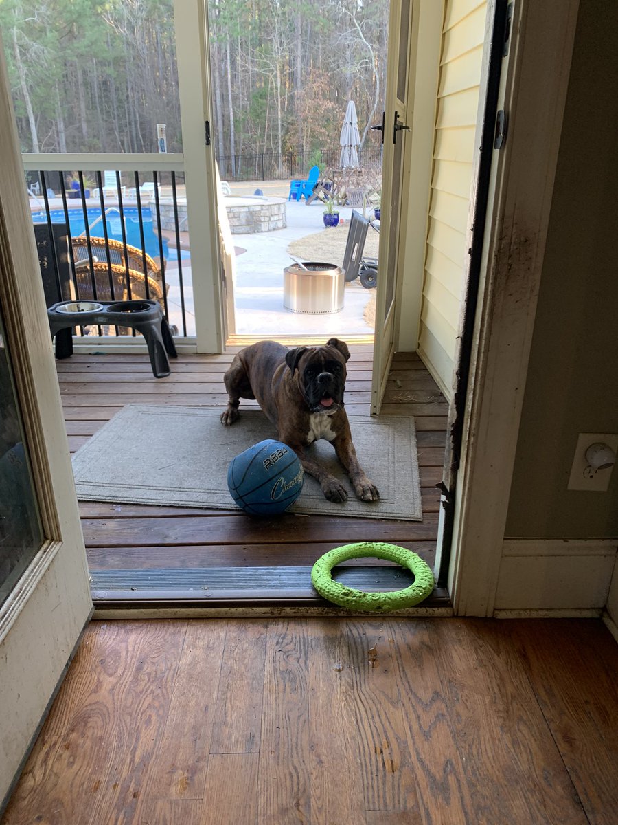 He said i can choose which toy, he just wants to play.😵‍💫🐾🐾