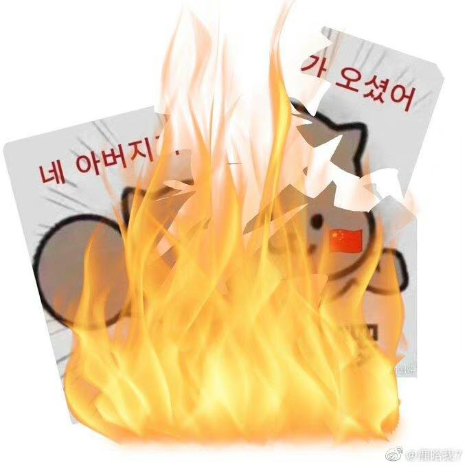 Bonny_Yuan's tweet photo. @laser_radar @mujinsheng11 @Hxhxyseven 한국인은 쓰레기, 한국인은 도둑, 한국인은 개돼지만도 못하고, 한국인은 온 가족이 죽고, 한국은 중국이다 https://t.co/riexbYIdtY
