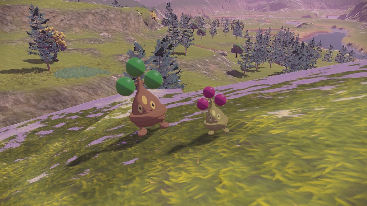 N7BrokeMass's tweet photo. #PokemonLegendsArceus #NintendoSwitch https://t.co/7XQyqeMDul