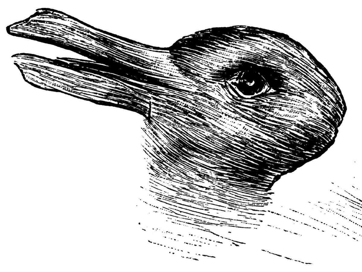 5. Expectation Effect:What you see is influenced by what you expect to see. In one example, researchers Peter & Susanne Brugger showed people this picture. In October, most people saw a duck. During Easter, most people saw a bunny.h/t:  @d_a_robson