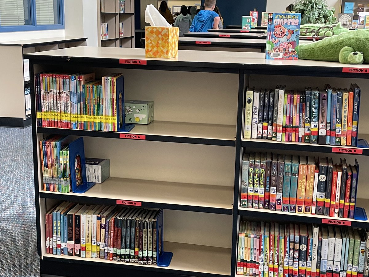 LiteracyForTX's tweet photo. Looking to open a new library or do a refresh? We can help! Check out these beautiful new books @DickinsonISD libraries are receiving! Our dedicated team member @MrsB_books has supported this refresh from day 1. We can’t wait to see what the kids think! #NewBook #txlchat #txlib https://t.co/AOlJJxPWXB