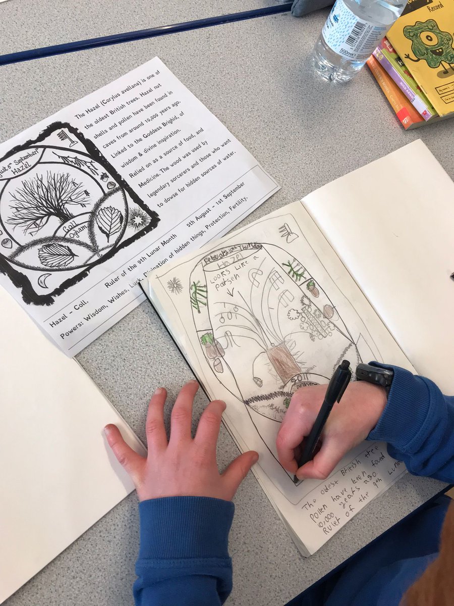 Pennardprimary's tweet photo. Dosbarth Three Cliffs have produced some beautiful artwork related to myths and symbolism of our native trees with Mrs Chisholm today @JennyChisholm70 🌲🌳#pennout #pennexp https://t.co/EDip2TR2N3