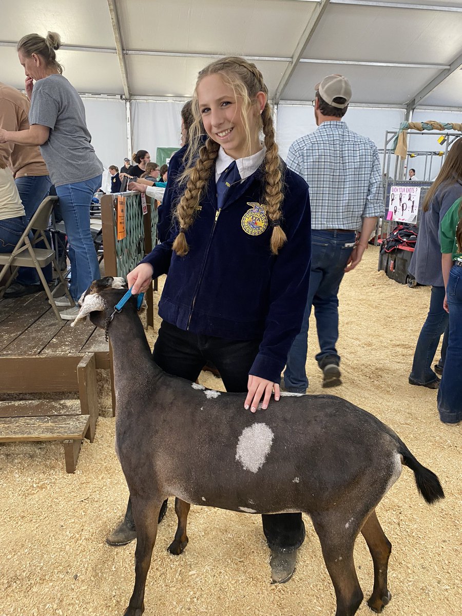 You must check out our students showing their livestock this weekend at the <a href="/FLStateFair/">Florida State Fair</a> 🐔🐷🐮

They have worked so hard and you will 💯 be impressed!!

Schedule of events here - floridastatefairag.com/wp-content/upl…