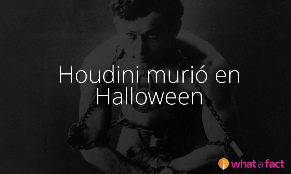 o.O What a fact! Houdini murió en Halloween
whatafact.com/es/f/houdini-m…