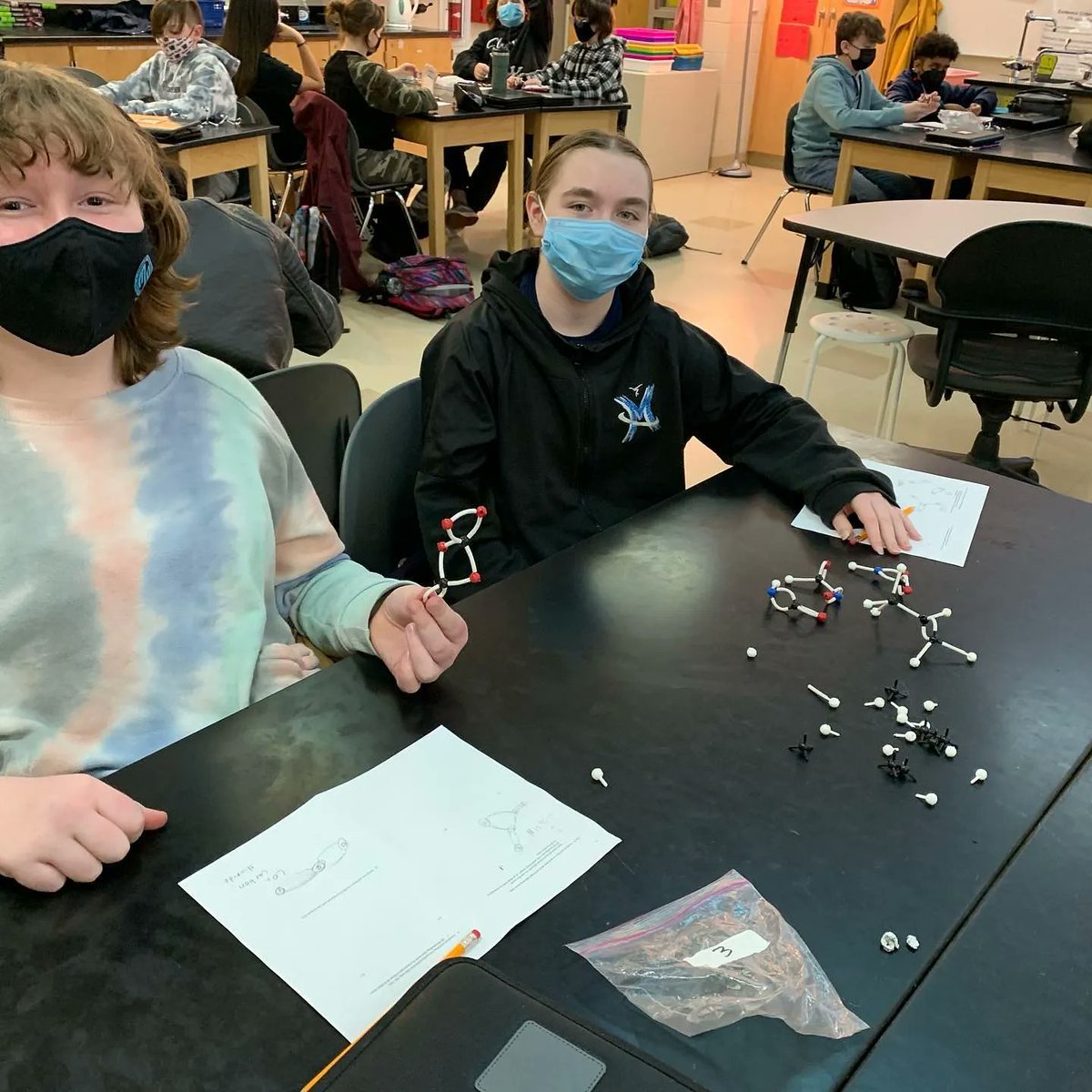 GBCSBobcats's tweet photo. West Middle School 7th graders recently built some very creative molecule models in Science! #science #middleschoolscience #WeAreGB https://t.co/108DioUQ08