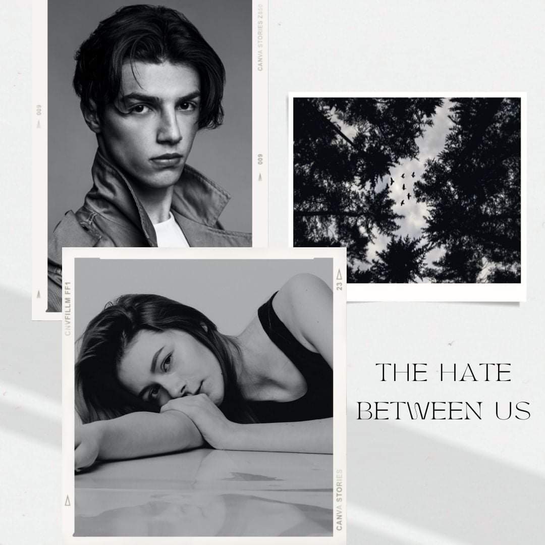 CatreenaW's tweet photo. THE HATE BETWEEN US 
@VeraHollins

When you &amp; your enemy are cast as the leads in your school play, what could possibly go wrong? 

#Preorder
US https://t.co/QhAjTagz4x
UK https://t.co/MviddDAWtm
CA https://t.co/vey012vWwJ
AU https://t.co/eRWRXN7bOr
Apple https://t.co/z6jzcdhkZI https://t.co/AcrWzchSaN