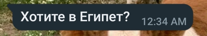 _q1dn's tweet photo. пожалуйста скажите что не мне одной пишут такие сообщения в пол первого ночи и моя жизнь не странная https://t.co/F1Cb9yFXAj