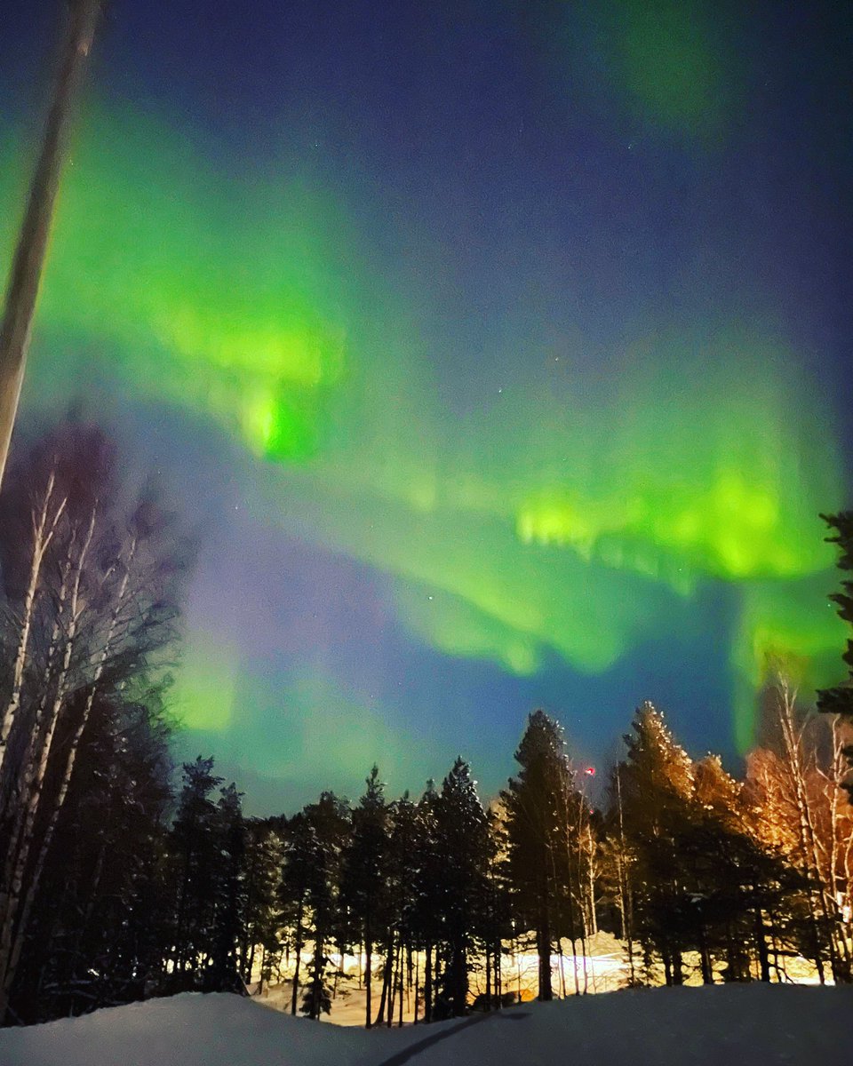#AuroraBorealis #nordiclightspotter #luleå