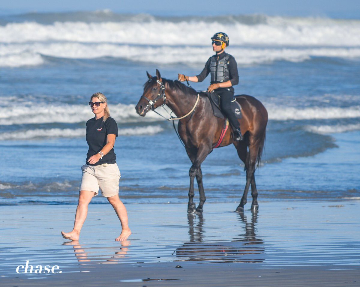 MichelleRix1's tweet photo. @gavlerena07 making the trip to Cape Town to take #kommetdieding for a beach stroll. @WorldSportsBet. Thank you @ChaseLiebenberg #thepeopleshorse #jockey #trainer https://t.co/mZj6cARF0b