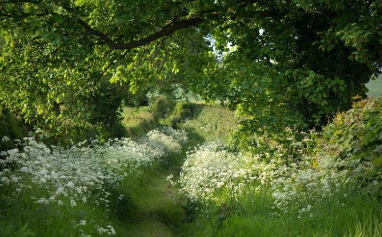 piinkibun's tweet image. 