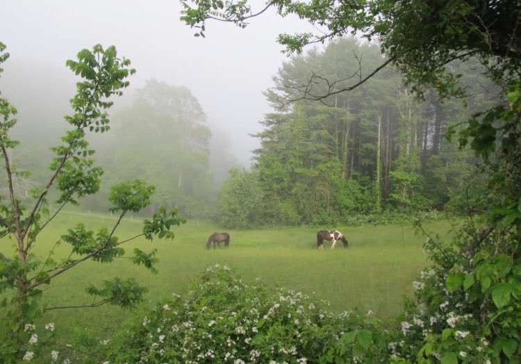 piinkibun's tweet image. 