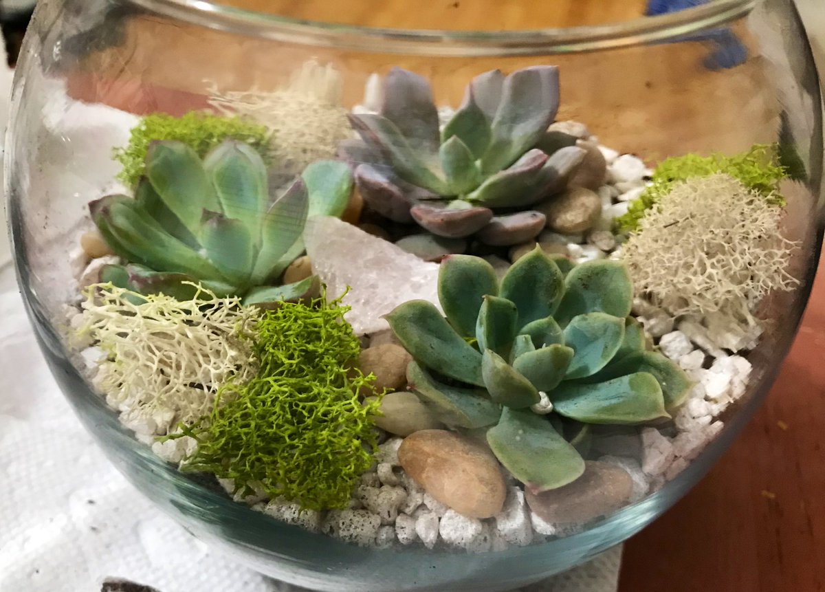 KAntosca's tweet photo. A very happy @Xbiome_ happy hour this Friday afternoon! 😊 Thank you for organizing this terrarium making Lucy! https://t.co/6nWUerBDin