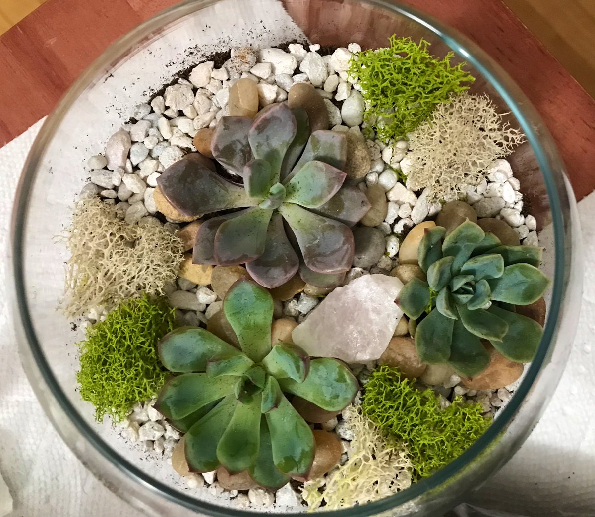 KAntosca's tweet photo. A very happy @Xbiome_ happy hour this Friday afternoon! 😊 Thank you for organizing this terrarium making Lucy! https://t.co/6nWUerBDin