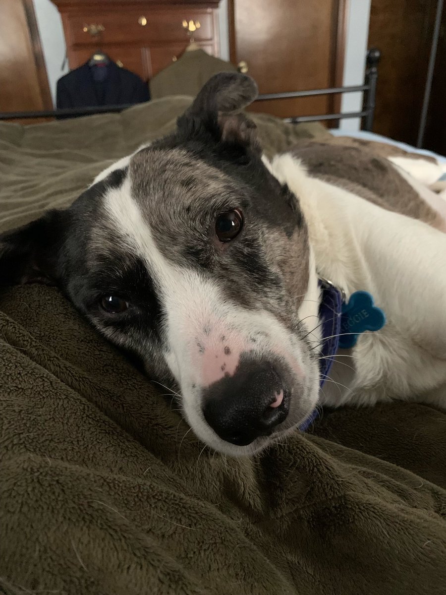 Lisa Caulfield tweet media