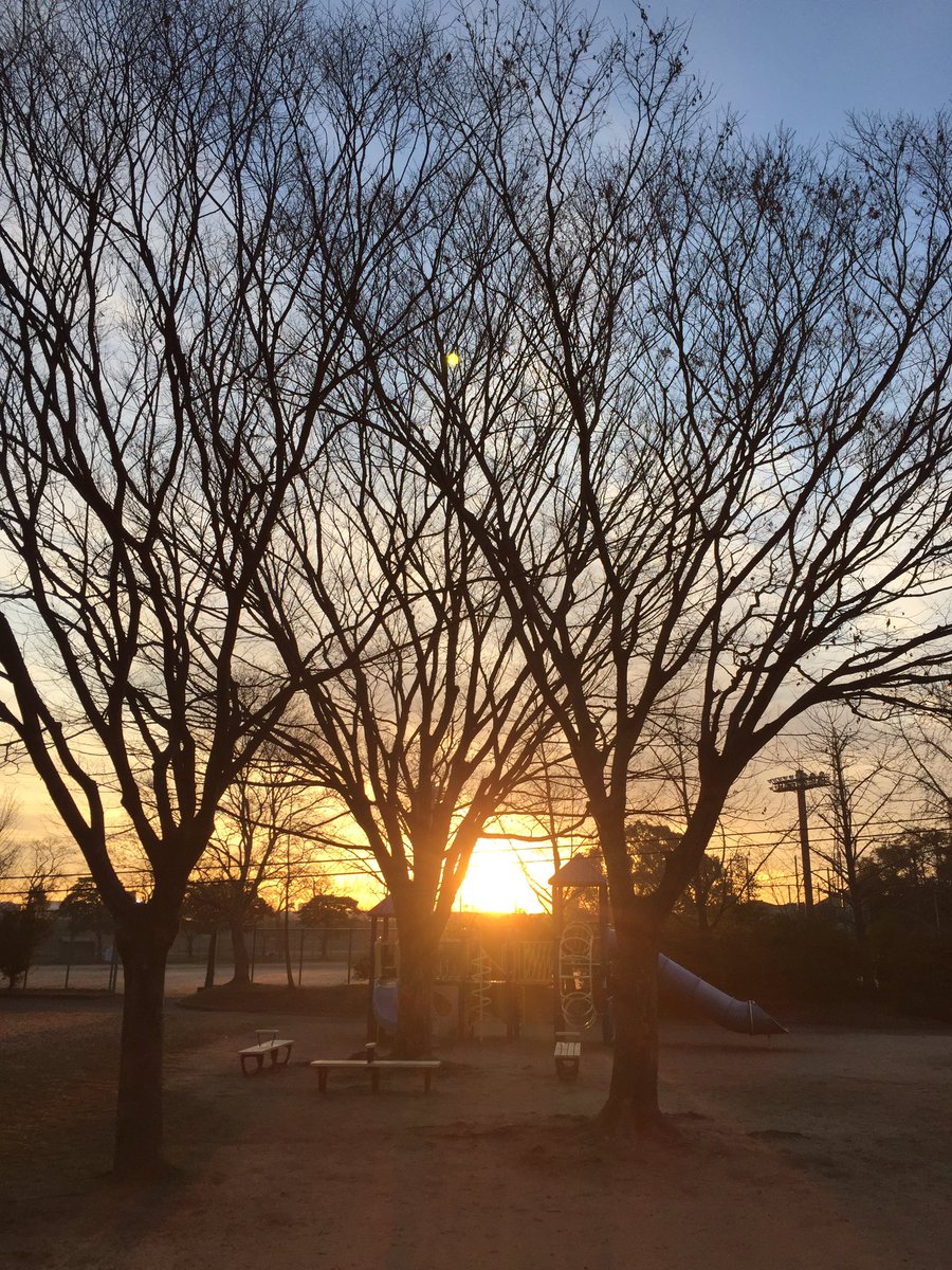 isesun3's tweet photo. おはようございます
今朝の名古屋は⛅️1℃

連休中日🎌
本日は
ご予約3件
お片づけ💪🏻

本日もよい1日になりますように✨

#おは戦40212fd 🍩
#愛拶0212
#おはよう応援隊0212
#おは日報0212
#コロナに負けるな https://t.co/BDw0GPKJeW