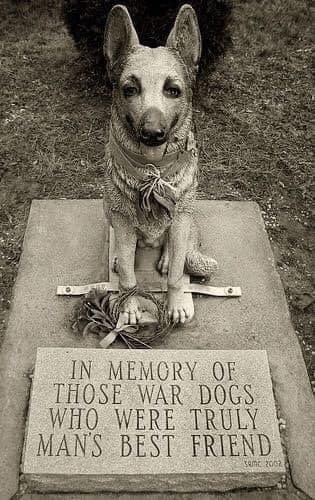 In Memory Of Those War Dogs Who Were Truly Man's Best Friend...