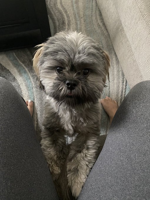 My father used to throw my pets(cats) out far from my house while I was at school, so I&rsquo;ve never been