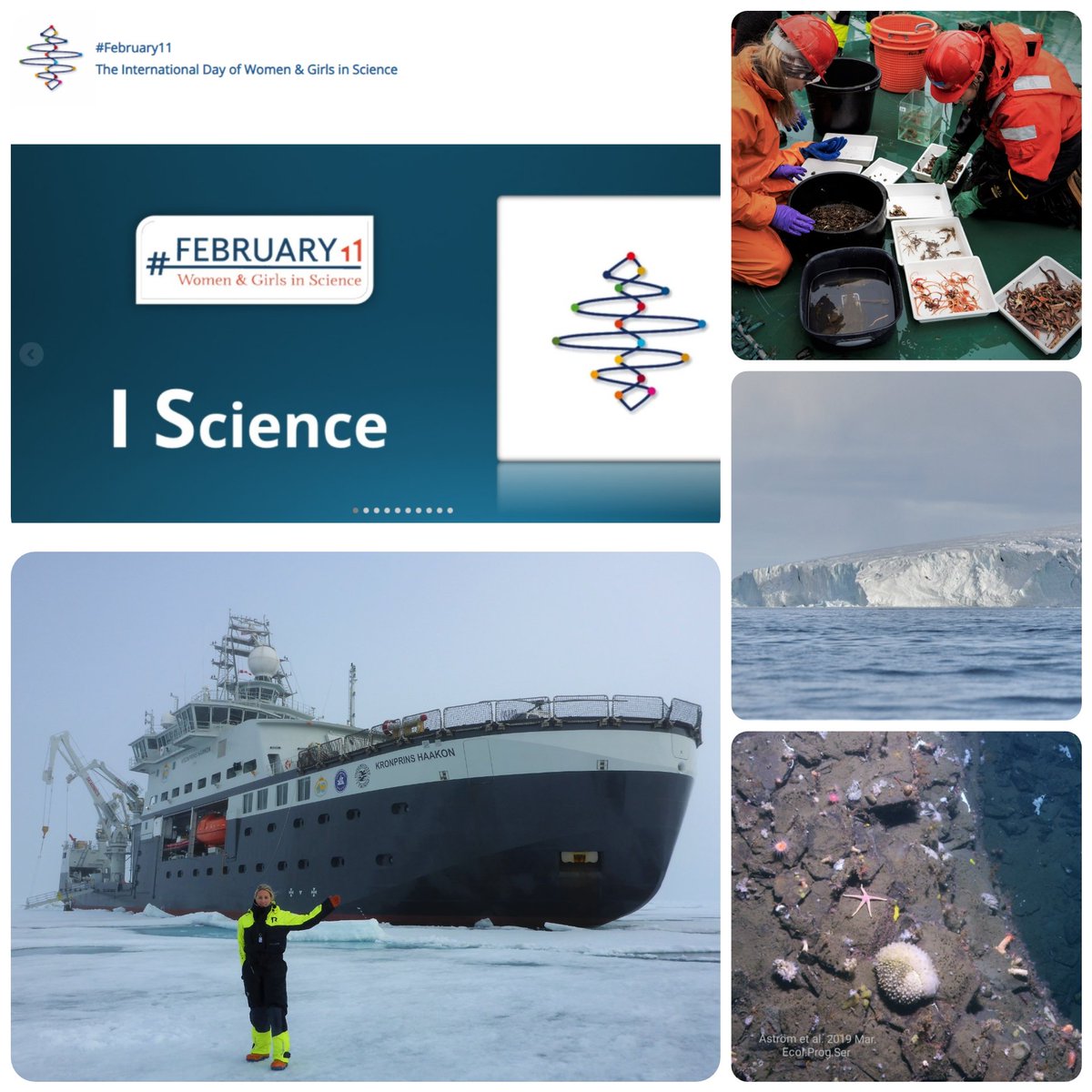 Arctic COSBAR (@arctic_cosbar) on Twitter photo Today is the international day of women in science. I'm a researcher in marine ecology <a href="/UiTNorgesarktis/">UiT Norges arktiske universitet</a>. I study the Arctic seafloor & cold seeps to assess animal communities & foodwebs. Shortly, who lives at the ocean seafloor & who eats whom? <a href="/nansenlegacy/">The Nansen Legacy</a>
🐚🐟🦑🦐 Today is the international day of women in science. I'm a researcher in marine ecology <a href="/UiTNorgesarktis/">UiT Norges arktiske universitet</a>. I study the Arctic seafloor & cold seeps to assess animal communities & foodwebs. Shortly, who lives at the ocean seafloor & who eats whom? <a href="/nansenlegacy/">The Nansen Legacy</a>
🐚🐟🦑🦐