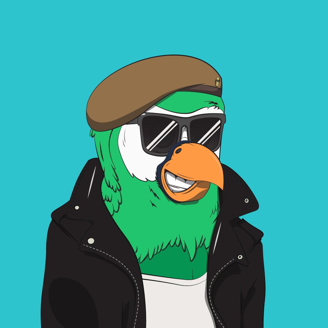 Bored Macaw Sol Club tweet media