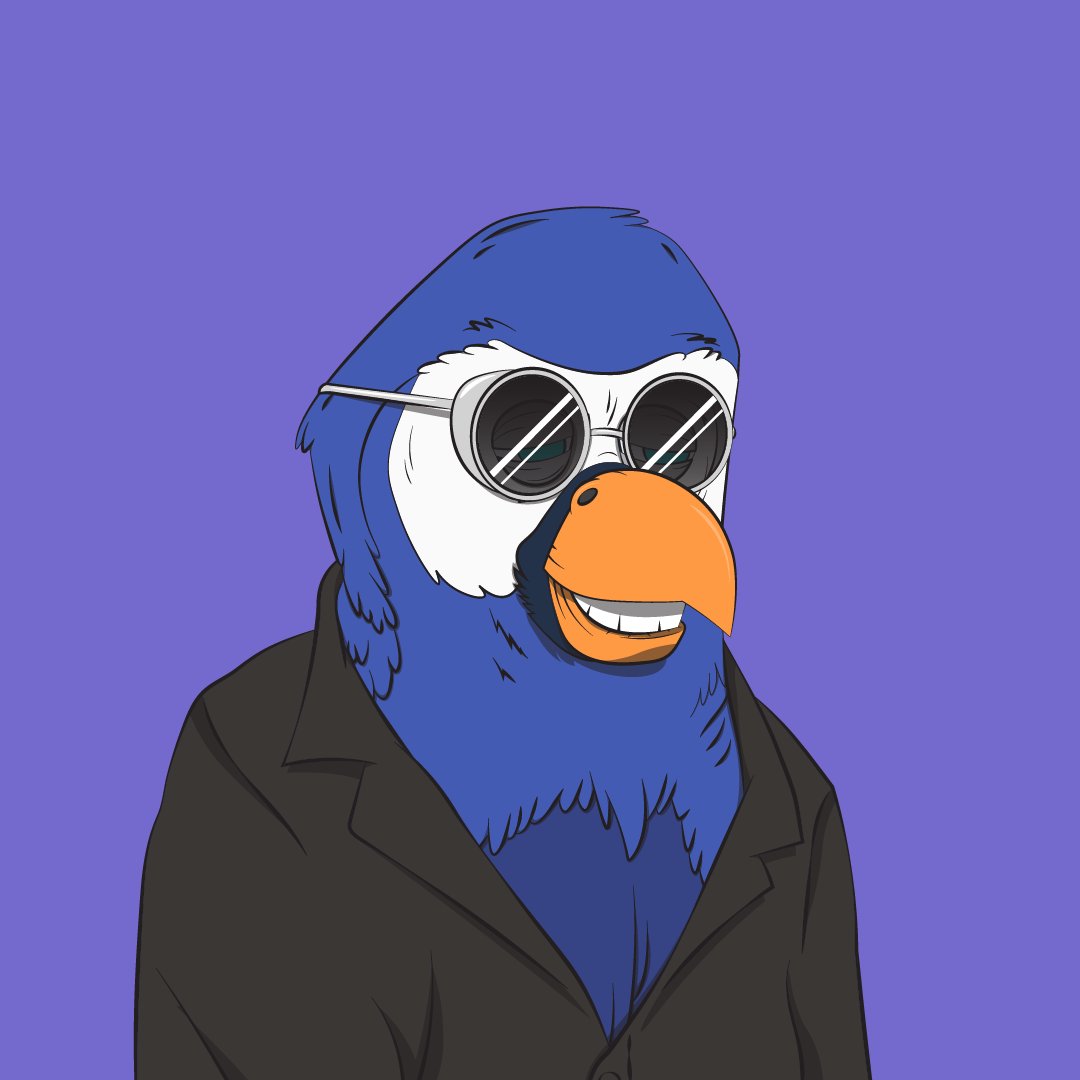 Bored Macaw Sol Club tweet media