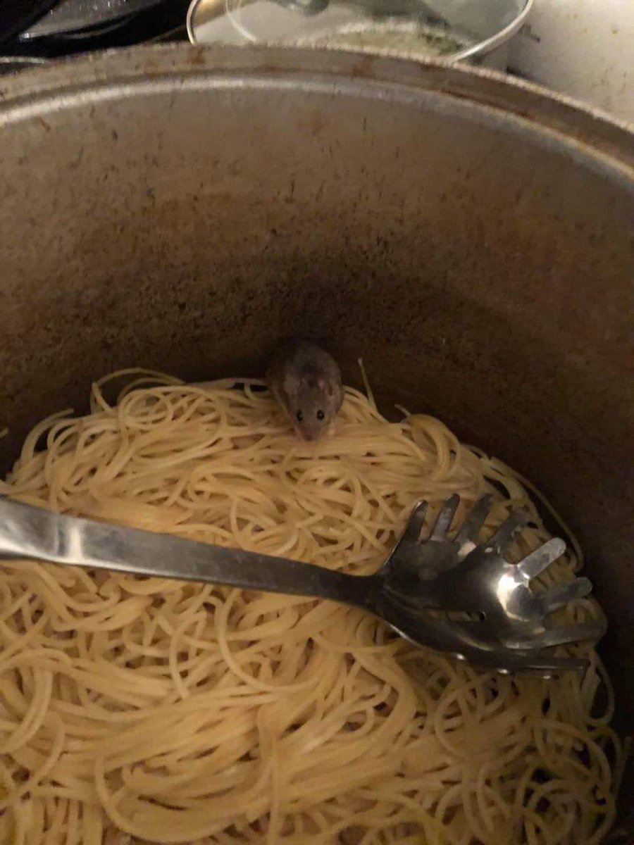 DisgustingCook's tweet photo. Просто дайте ей делать свою работу.  Через пару лет этот пестик получит звезду мишлен https://t.co/w3B59gsHX4