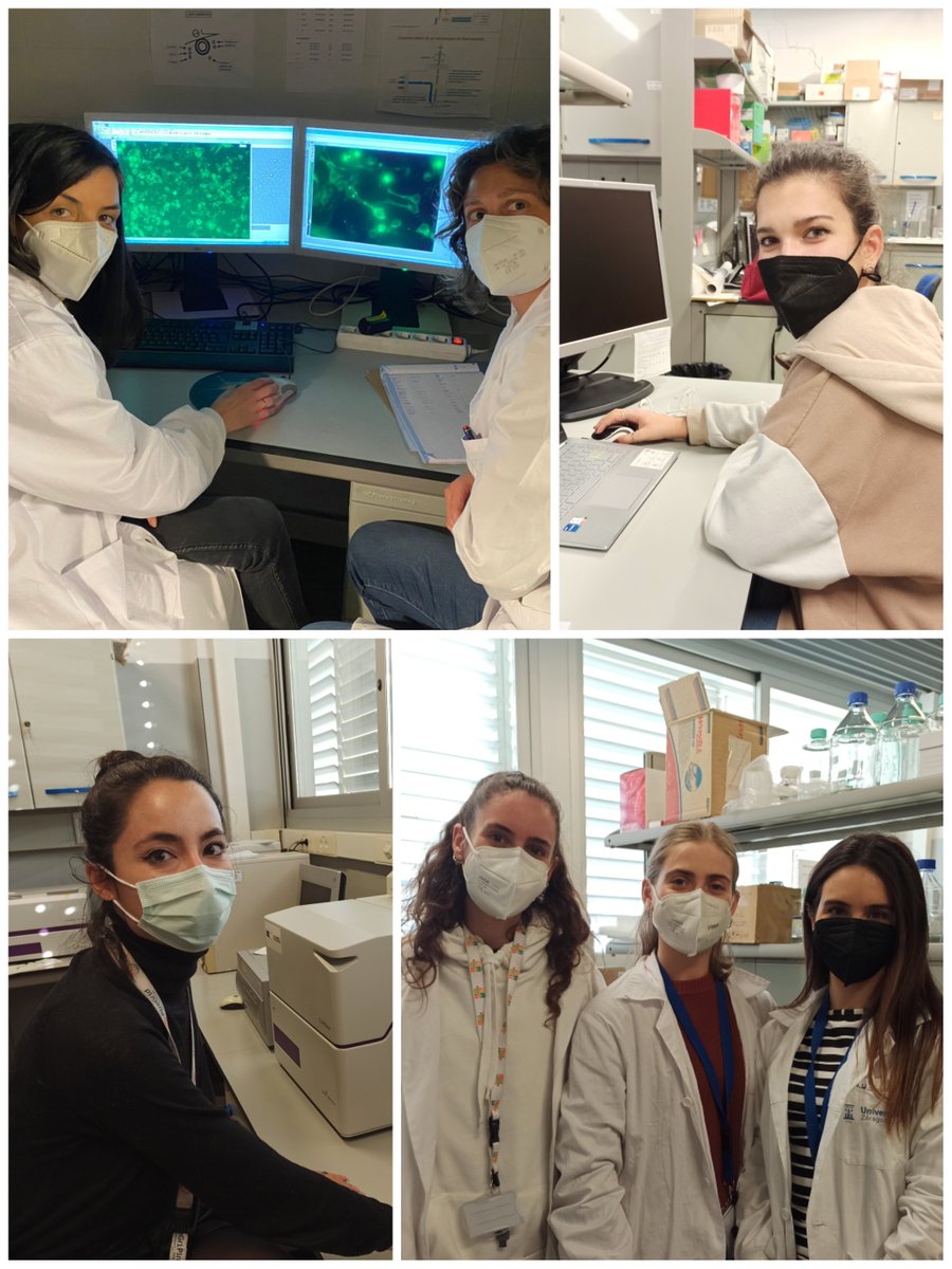 En @BIFI_Instituto las investigadoras de todas las etapas celebramos hoy el día internacional de la mujer y la niña en la ciencia. Espero que mis hijos me miren con sorpresa dentro de unos años cuando les diga que antes el #11F era necesario #WomenInScience