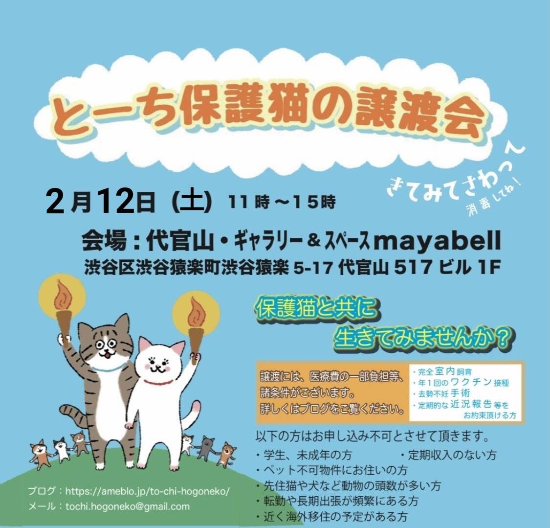 mayabell517's tweet photo. 私事で大変申し訳御座いませんが、我が家の猫の体調が悪く緊急で病院に連れて行く事になった為、本日の譲渡会での作品の展示販売が出来なくなってしまいました。
譲渡会は通常通り開催致します。
宜しくお願い致します。
#保護猫
#譲渡会
#代官山
#渋谷 https://t.co/DCEAHR52QL