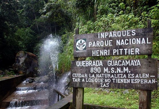 Fundación Tierra Viva on X: "#13Feb Hace 85 años fue decretada la creación  del Parque Nacional Henri Pittier, el primero de Venezuela y el de mayor  extensión de los parques nacionales de
