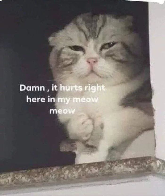 kapebeansies's tweet photo. https://t.co/agyrkv15IA