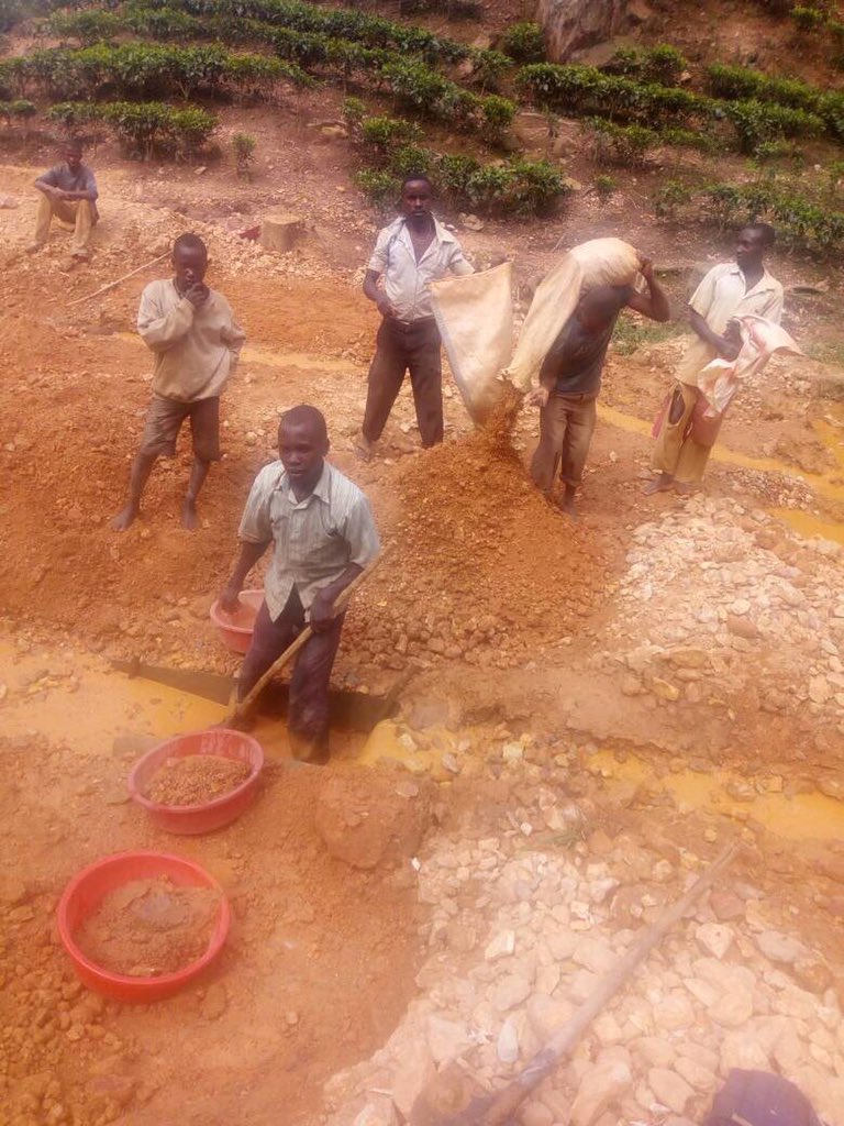 JewellryRaw's tweet photo. How much gold do think the earth still have left for us? https://t.co/GUd2ndGHjL